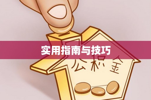 泌阳实用指南与技巧