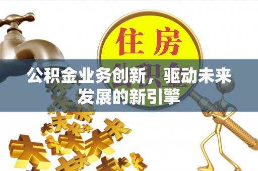泌阳公积金业务创新，驱动未来发展的新引擎