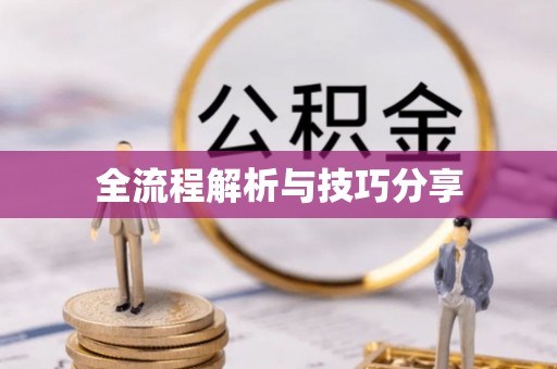 泌阳全流程解析与技巧分享
